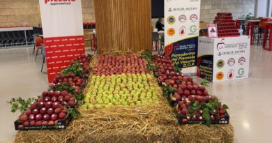 Nola, Supermercati Piccolo sede di via Variante 7 bis: la mela annurca torna protagonista