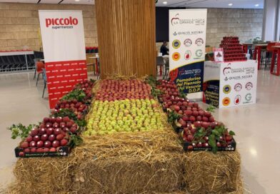 Nola, Supermercati Piccolo sede di via Variante 7 bis: la mela annurca torna protagonista